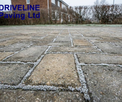 DLP_How Frost_Featured Image