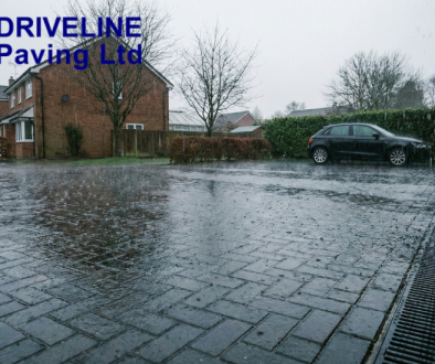 DLP_The Best Drainage Featured