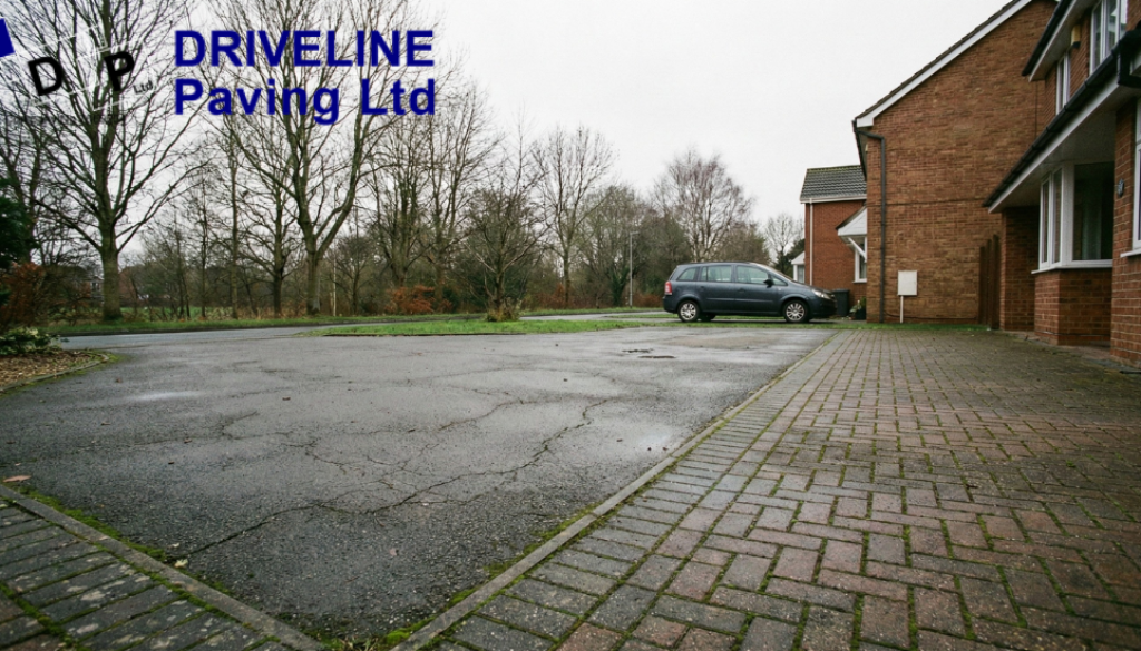 DLP_Why Winter Featured