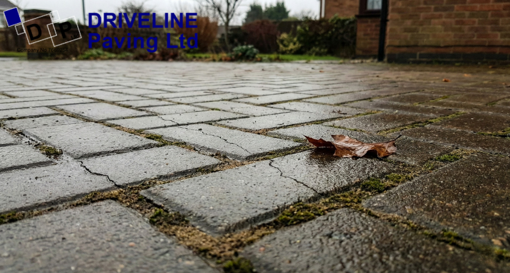 Small cracks that seem minor in autumn often widen in January as water freezes and expands beneath the surface.