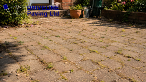 patio garden with grown weeds